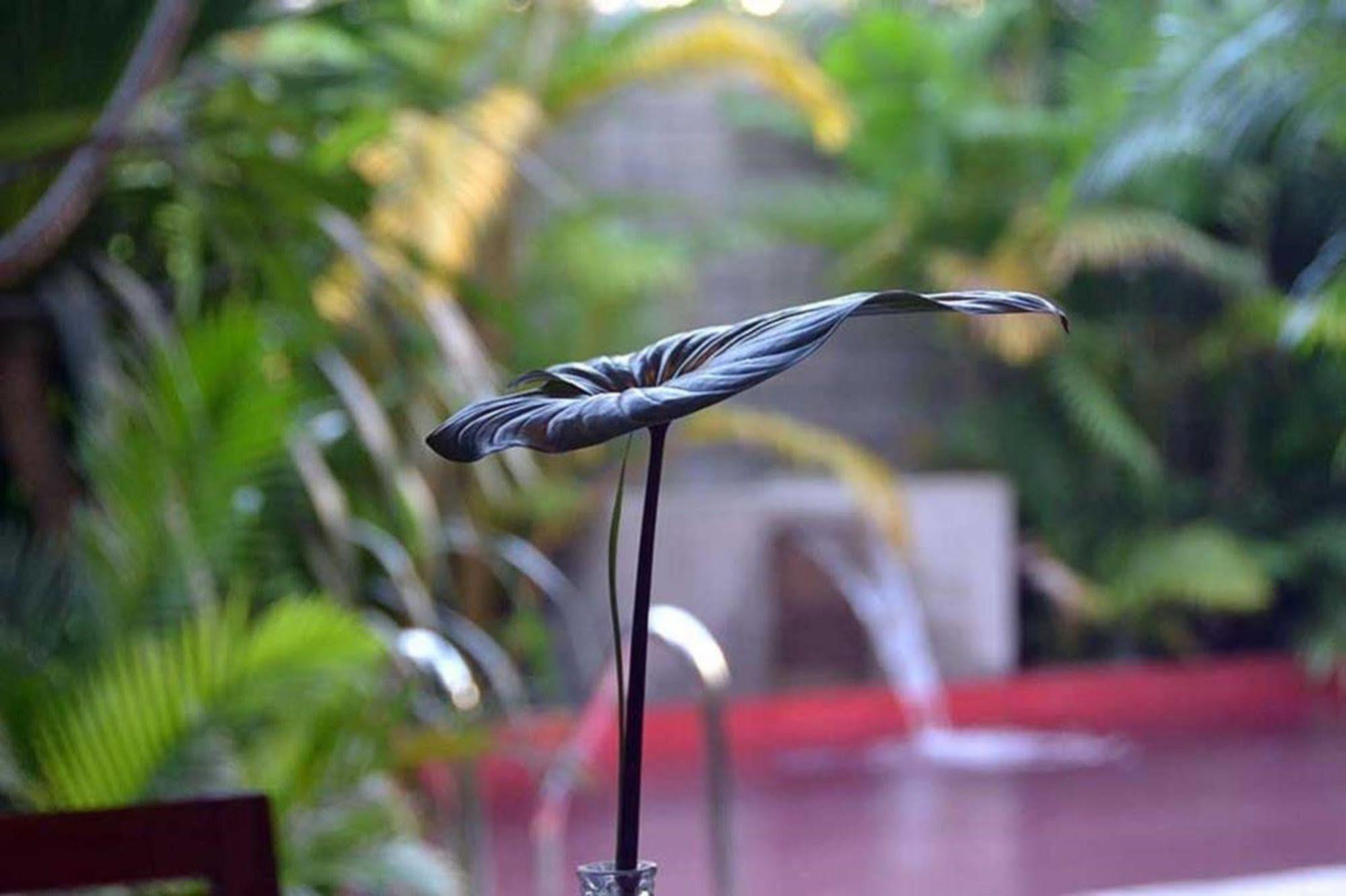 Tranquil Villa Phnom Penh Eksteriør bilde